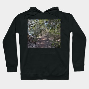 Hiking Florida at Robinson Preserve Hoodie